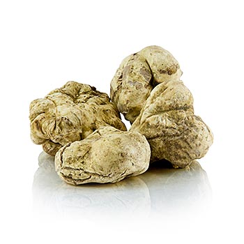 Witte truffel - knol magnatum pico, EXTRA KWALITEIT - Tartufi di qualita; minimaal 20g