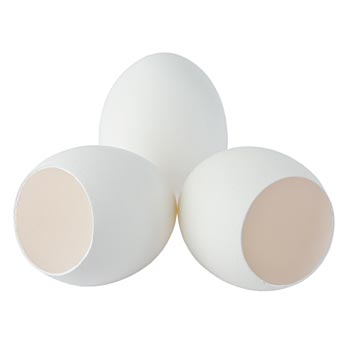 Lege eierschalen, wit, om te vullen, 120 st.