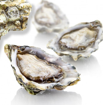 Verse oesters - Gillardeau N3 (Crassostrea gigas), ca. 100g per stuk, 48 stuks