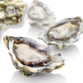 Verse oesters - Gillardeau N3 (Crassostrea gigas), ca. 100g per stuk, 24 stuks