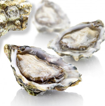 Verse grote oesters - Gillardeau G2 (Crassostrea gigas), ca. 115g per stuk, 12 stuks