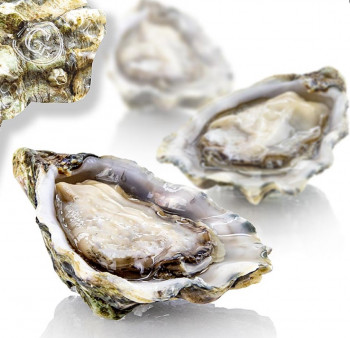 Verse oesters - Gillardeau N3 (Crassostrea gigas), ca. 100g per stuk, 12 stuks