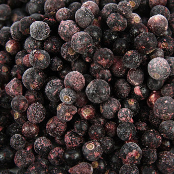 Schwarze Johannisbeere, Palaticho Fruits, 2,5kg, TK